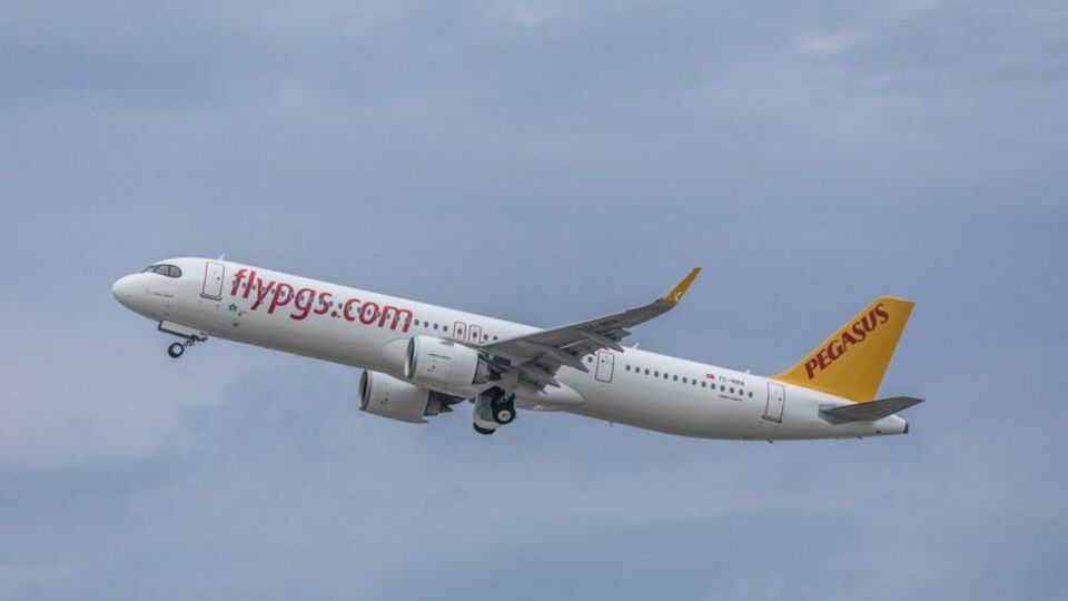 Uçak acil iniş yaptı! Bir gözaltı