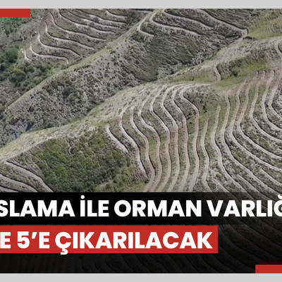 En kurak illerden Iğdır'da teraslama ile orman varlığı yüzde 5'e çıkarılacak