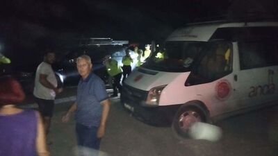 5 köpek, 6 kedi ölü bulundu! Belediyeden açıklama