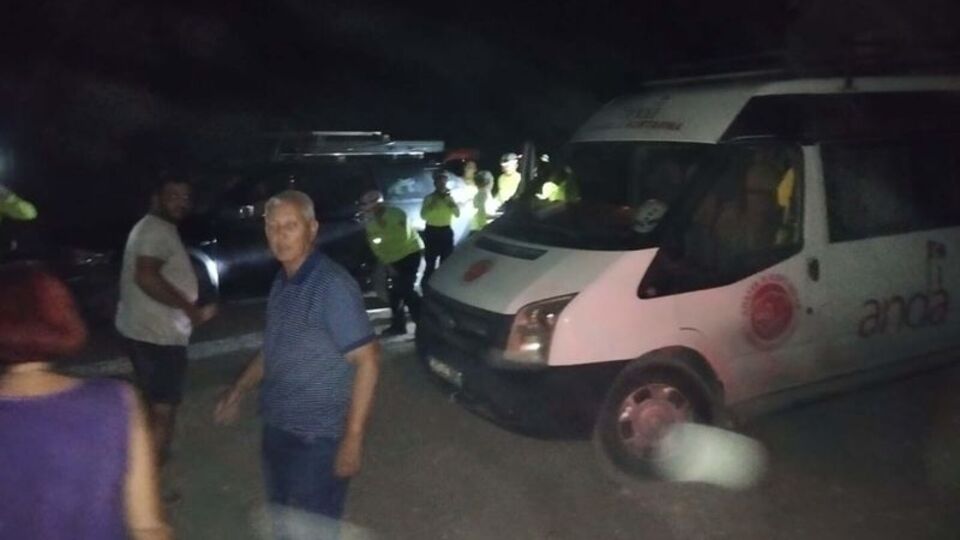 5 köpek, 6 kedi ölü bulundu! Belediyeden açıklama