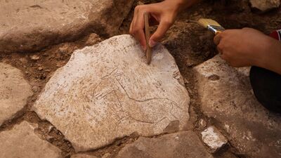 Karahantepe'de yeni keşif