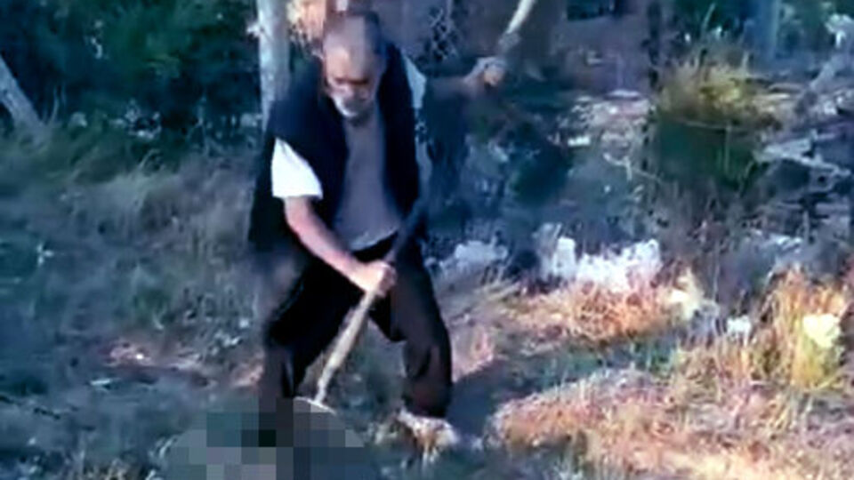 Yavru köpeği dirgen saplayarak öldürdü