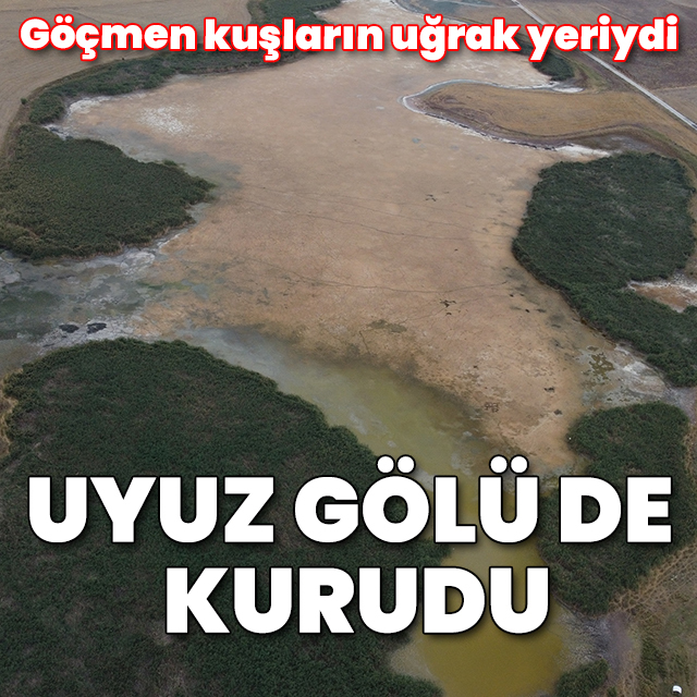 Göçmen kuşların uğrak yeriydi: Uyuz Gölü de kurudu