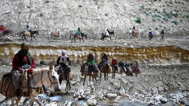 Berivanların katırlı konvoyla başlayan zorlu mesaisi