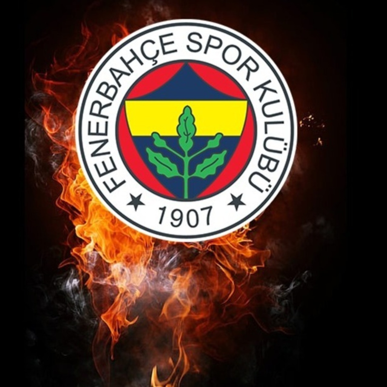 Fenerbahçe'den tarihi kar!