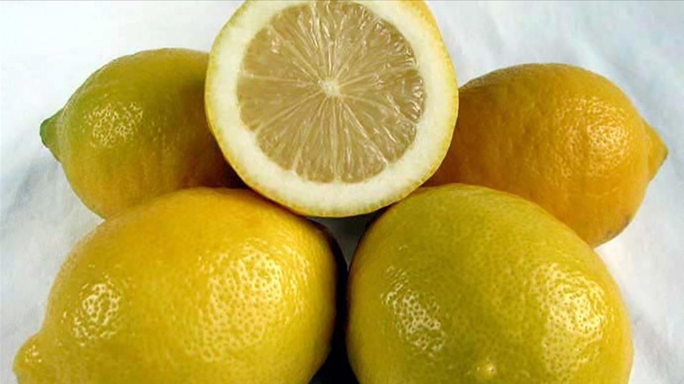 Tarladan rafa en yüksek fark limonda