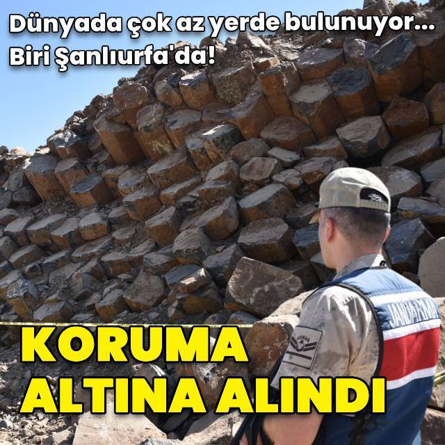 Az yerde bulunuyor... Biri Şanlıurfa'da! Koruma altına alındı