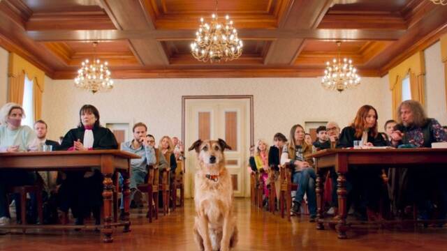 Filmekimi bu yıl İstanbul, Diyarbakır, Ankara ve İzmir'de