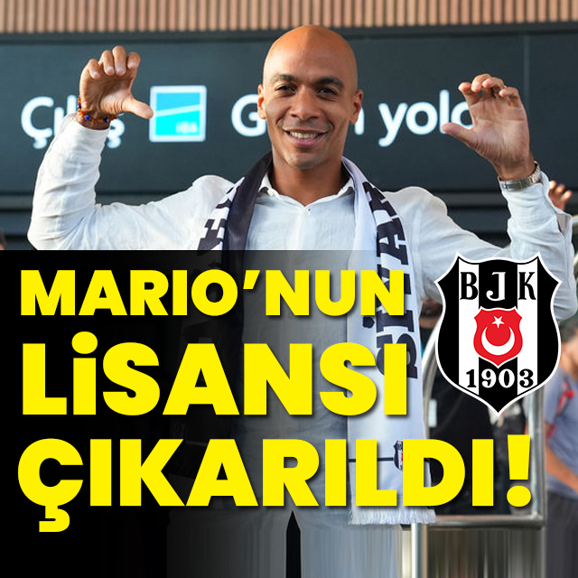 Mario'nun lisansı çıkarıldı!