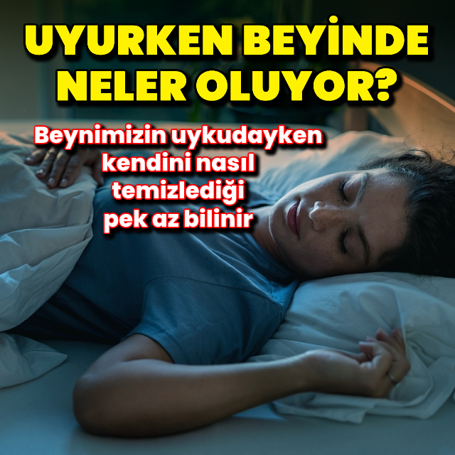 Uyurken beyinde neler oluyor?