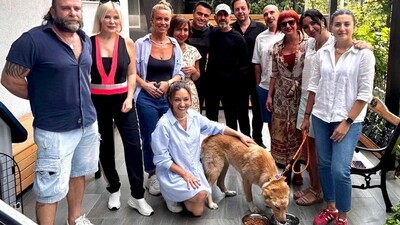 MSG, yaralı sokak köpeğini sahiplendi