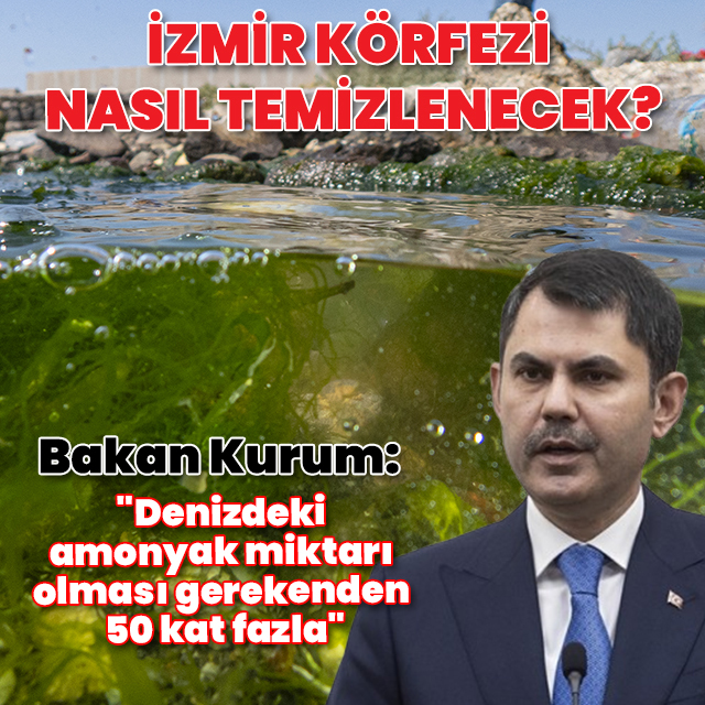 İzmir Körfezi nasıl temizlenecek? Bakan Kurum'dan açıklama
