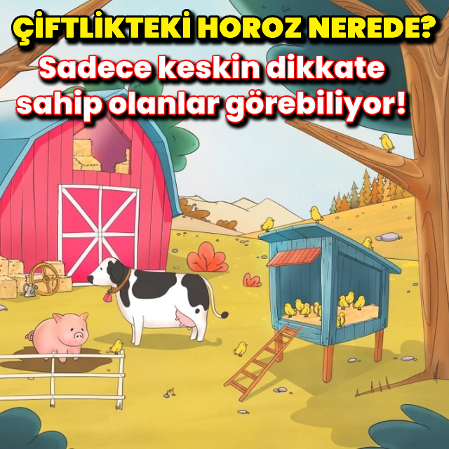 Çiftliğe dikkatli bakın! Horozu görebiliyor musunuz?
