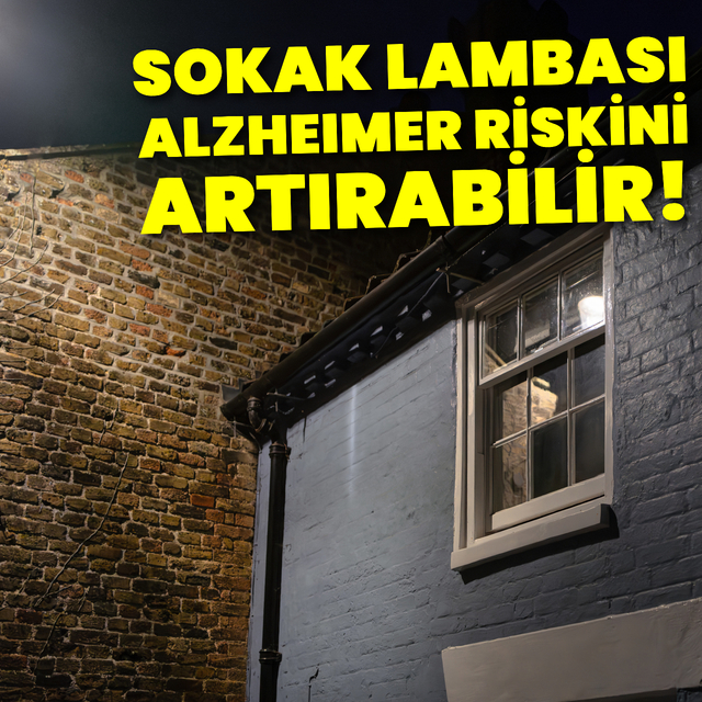 Sokak lambası Alzheimer'e yol açabilir!