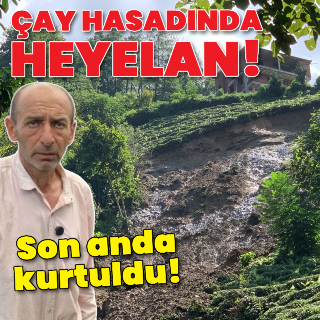 Çay hasadında heyelan faciası! Son anda kurtuldu