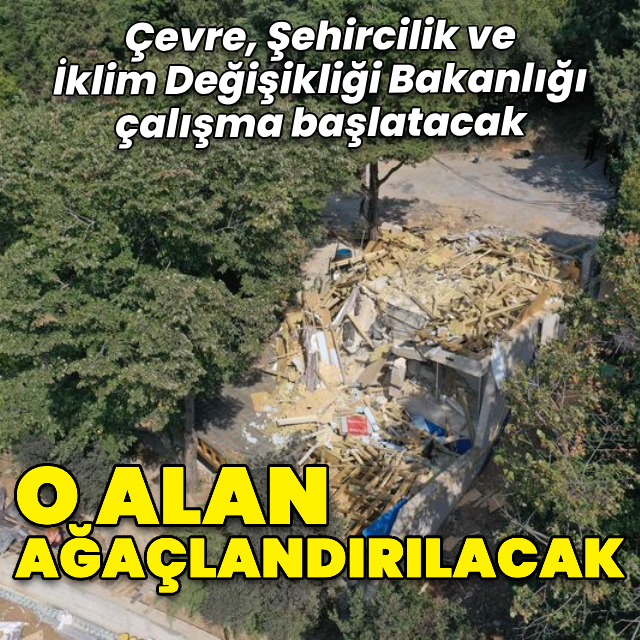 Vaniköy'de yıkım tamamlanan bölge ağaçlandırılacak