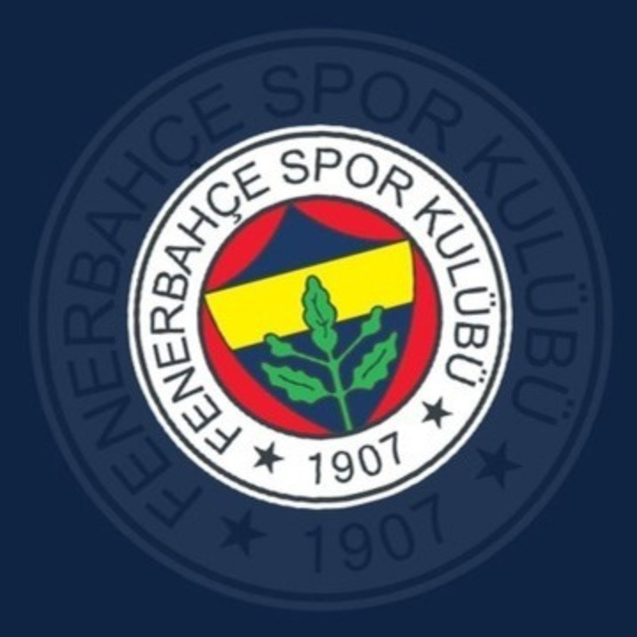 Fenerbahçe'ye basketbolda yeni sponsor