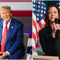  ABD'de son anket sonuçları! Harris mi Trump mı?