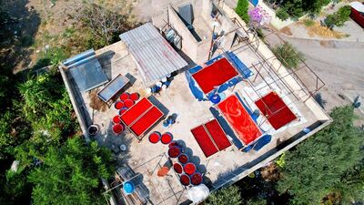 Adana'da sezon başladı, çatılar kırmızıya boyandı