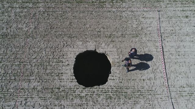 Konya Ovası'nda sayıları 3 bine yaklaştı
