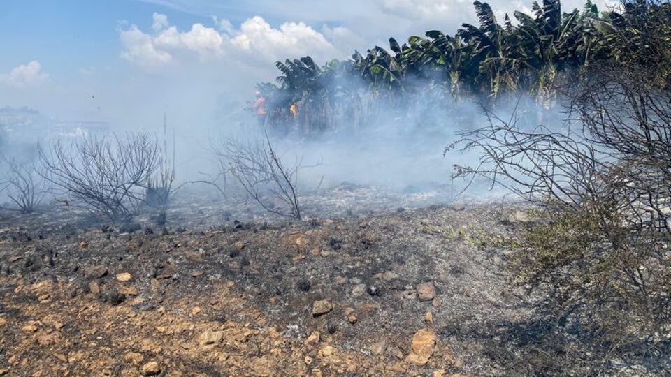 Otluk alandaki yangın muz bahçesine sıçradı