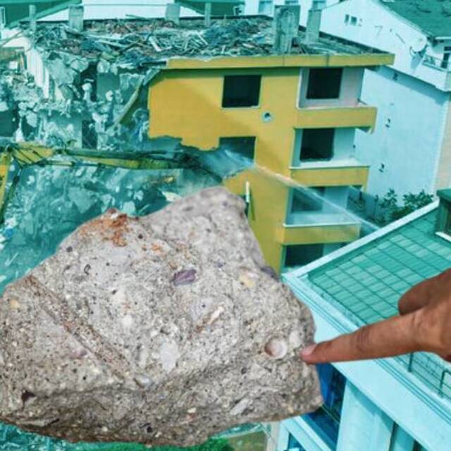 Riskli binanın betonundan deniz kabukları çıktı!