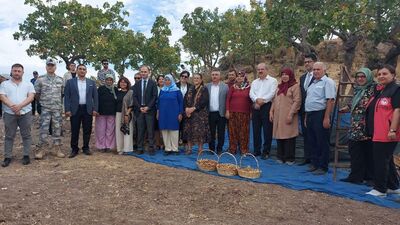 Çanakkale'de Antep fıstığı hasat şenliği