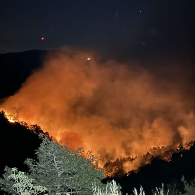 Hatay'da orman yangını