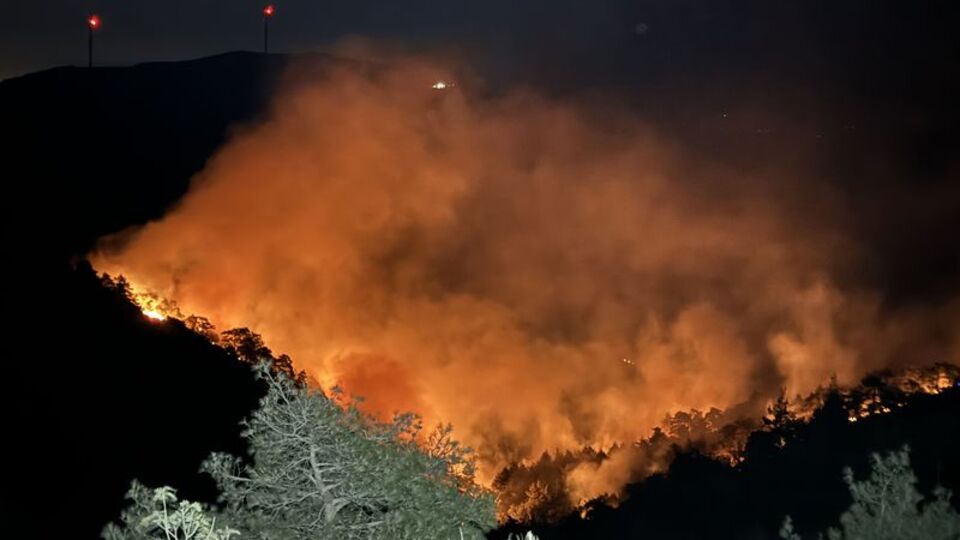 Hatay'da orman yangını