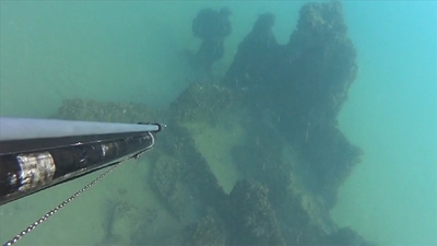 Zıpkınla balık avlamak için çıktı! Kayıt altına aldı