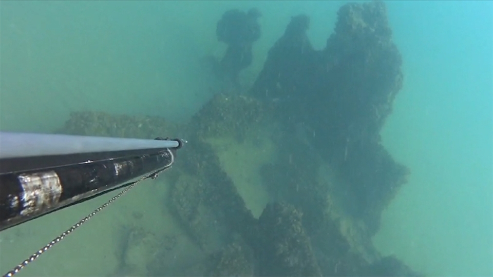 Zıpkınla balık avlamak için çıktı! Kayıt altına aldı