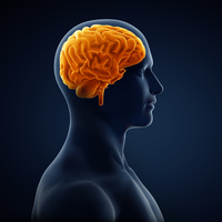 Zihin egzersizleri hafızayı güçlendiriyor