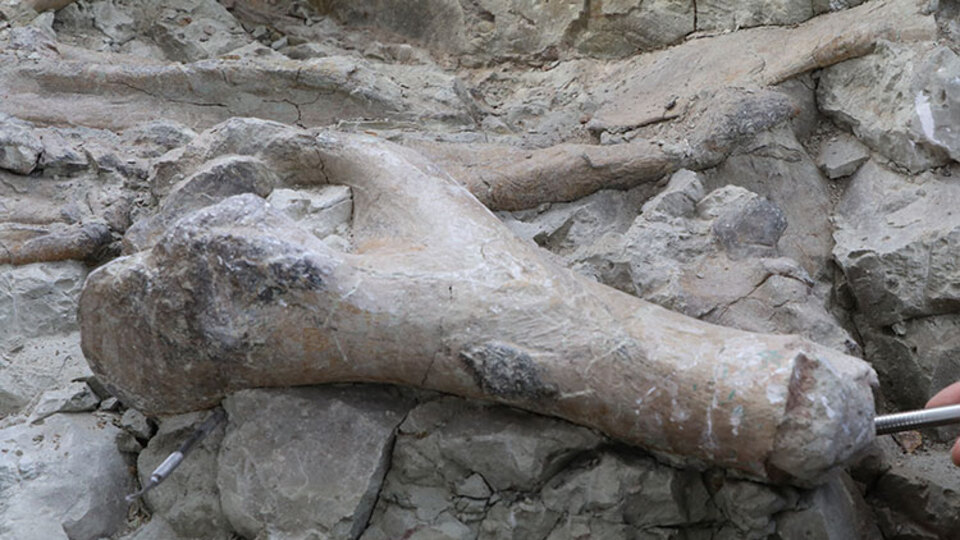 Arkeologlar: 16 bin yaşında