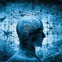 Beyin sağlığı için koruma kalkanı gibi liste!