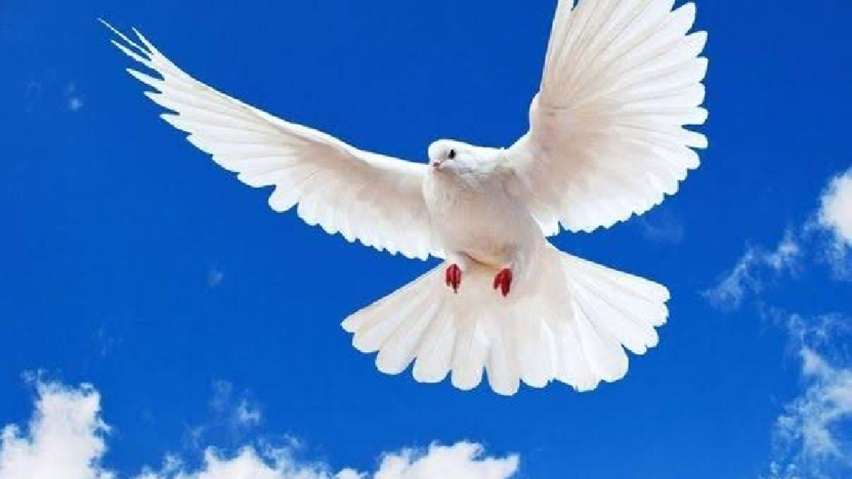 Şans oyunundan da umudu kesiyoruz