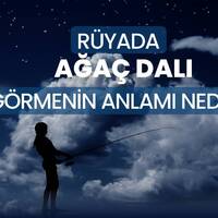 Rüyada ağaç dalı görmek ne anlama gelir?