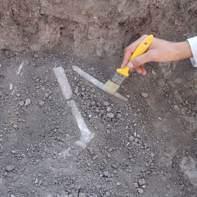  7 bin 600 yıllık çocuk iskeleti bulundu