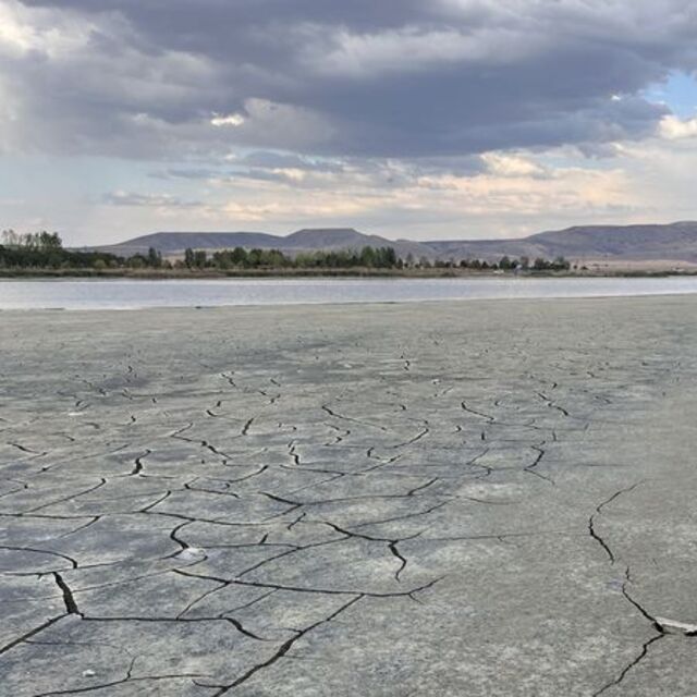 Kuruyor: Elmabaş patkalar terk etti!