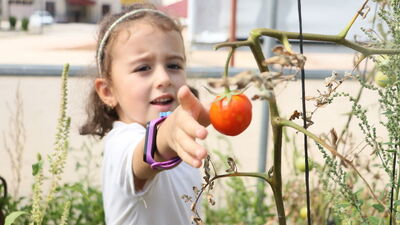 "Özel öğrenciler" ektikleri sebzeleri topladı