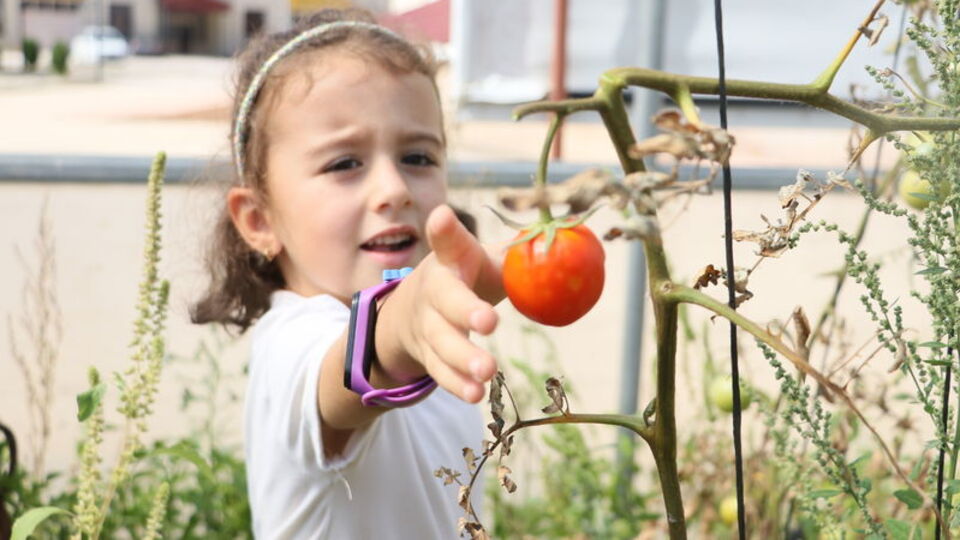 "Özel öğrenciler" ektikleri sebzeleri topladı