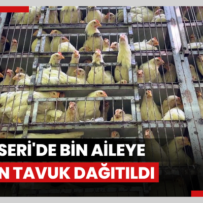 Kayseri'de bin aileye 10 bin tavuk dağıtıldı