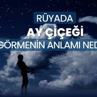 Rüyada ayçiçeği görmek ne anlama gelir?