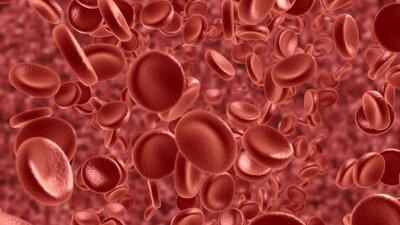 "Sepsiste her geçen saat hayati öneme sahip"