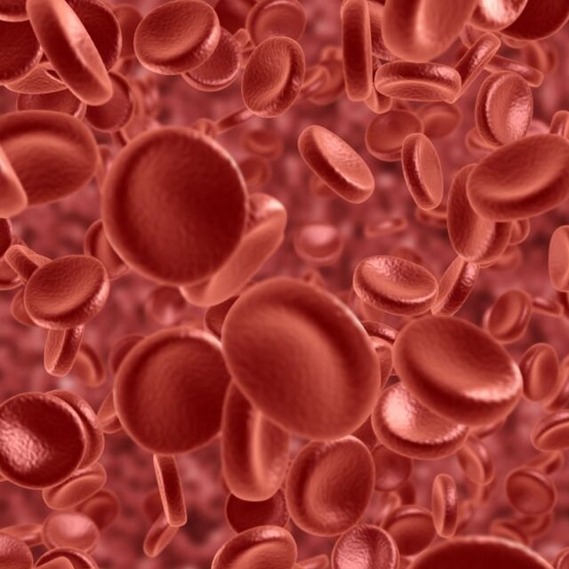  "Sepsiste her geçen saat hayati öneme sahip"