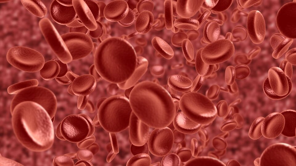 "Sepsiste her geçen saat hayati öneme sahip"