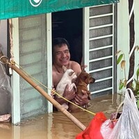 Vietnam'ı vuran Yagi Tayfunu'nda ölenlerin sayısı 262'ye yükseldi