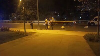 Husumetli aileler arasında silahlı kavga: 3 yaralı