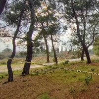  Narin'i hatırlattı! 10 yaşındaydı, vahşice katledildi!