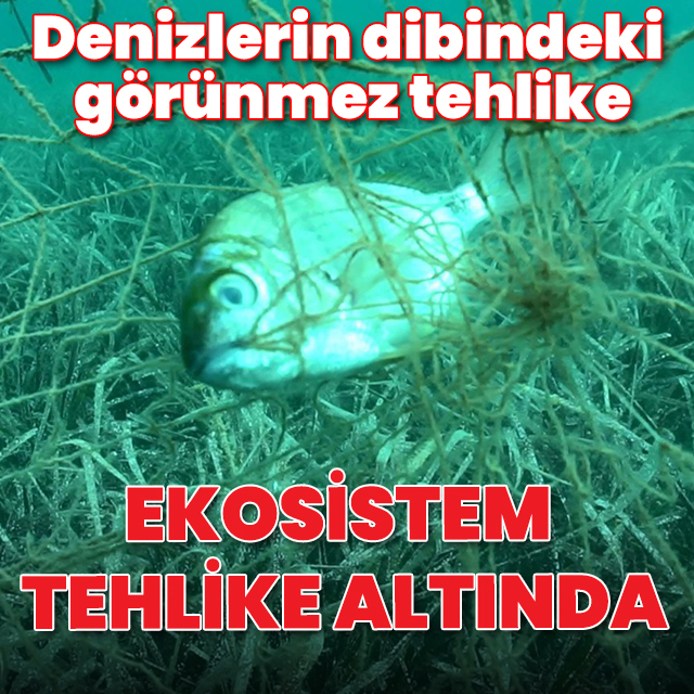 Denizlerin dibindeki görünmez tehlike: Ekosistem tehlike altında
