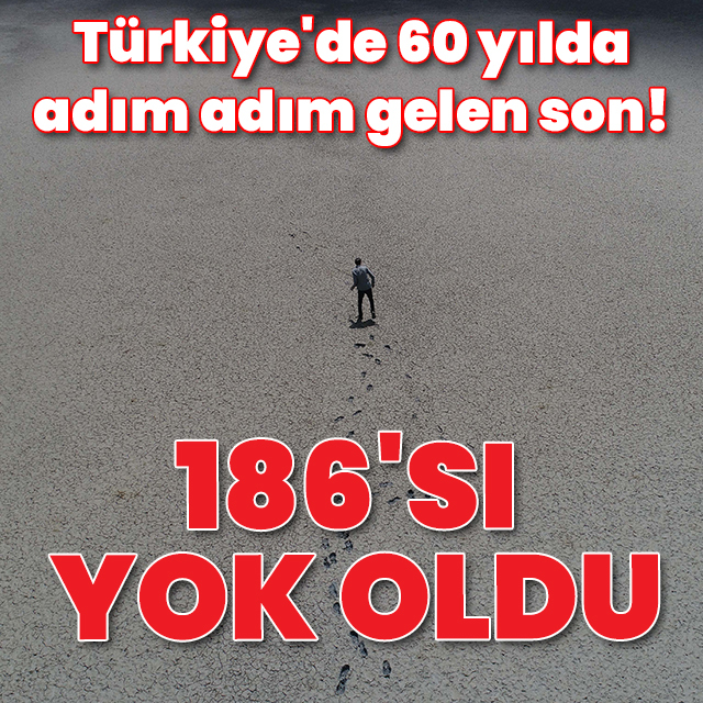 Türkiye'de ürküten tablo: Son 60 yılda 240 gölden 186'sı kurudu
